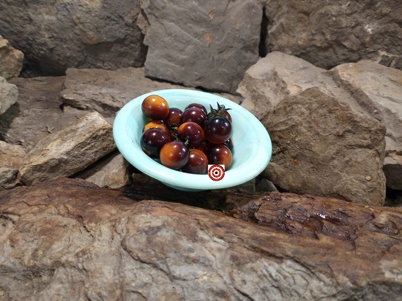 The Best Cherry Tomato Indigo Blue Berries Tomato Seeds Available Here.