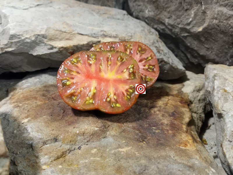 The Best Dean Slater Tomato Heart Of 007 Tomato Seeds Available Here.