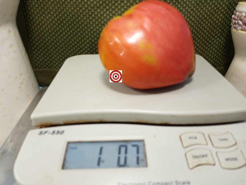 The Best Giant Tomato Heart Of Italy Tomato Seeds Available Here.