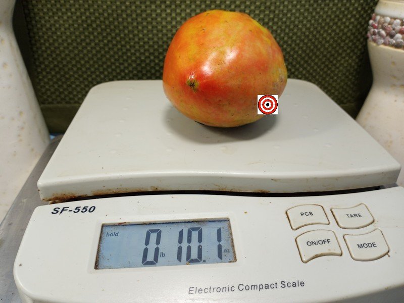 The Best Paste Tomato Killo Nelle Tomato Seeds Available Here.