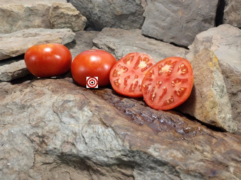 The Best Red Tomato John Baer Tomato Seeds Available Here.