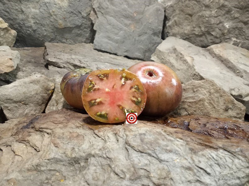 The Best Sandwich Tomato Gunmetal Grey Tomato Seeds Available Here.