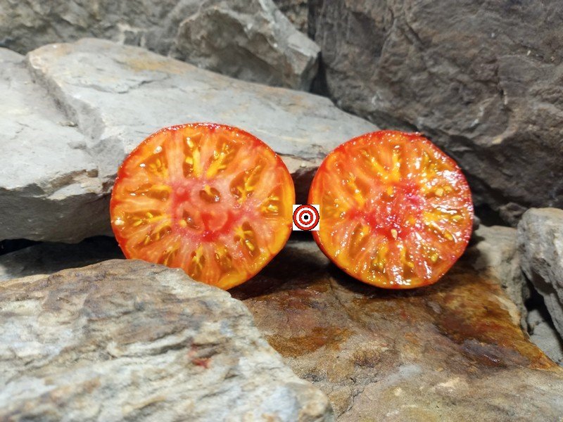 The Best Sandwich Tomato King Blue Tomato Seeds Available Here.