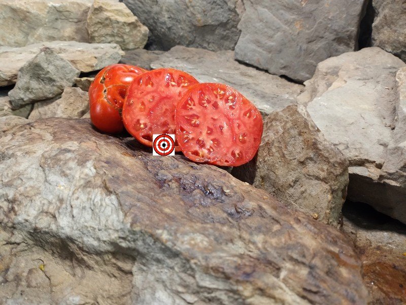 The Best Sandwich Tomato King Of Giants Tomato Seeds Available Here.