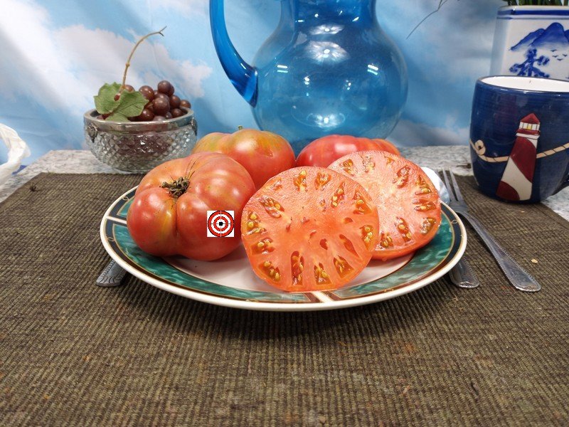 The Best Sandwich Tomato Koans Big Stock Pink Tomato Seeds For Available Here.