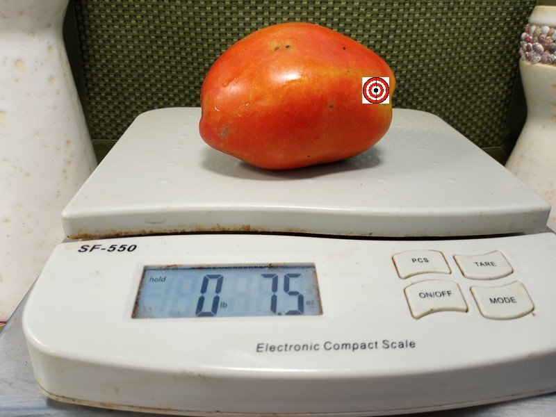 The Best Sauce Tomato Inciardi Paste Tomato Seeds Available Here.