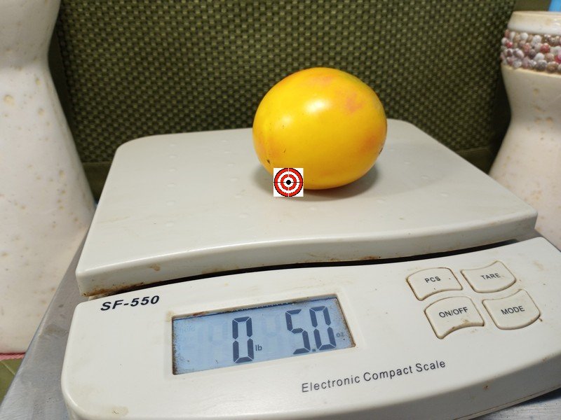 The Best Sauce Tomato Kozula 134 Tomato Seeds Available Here.