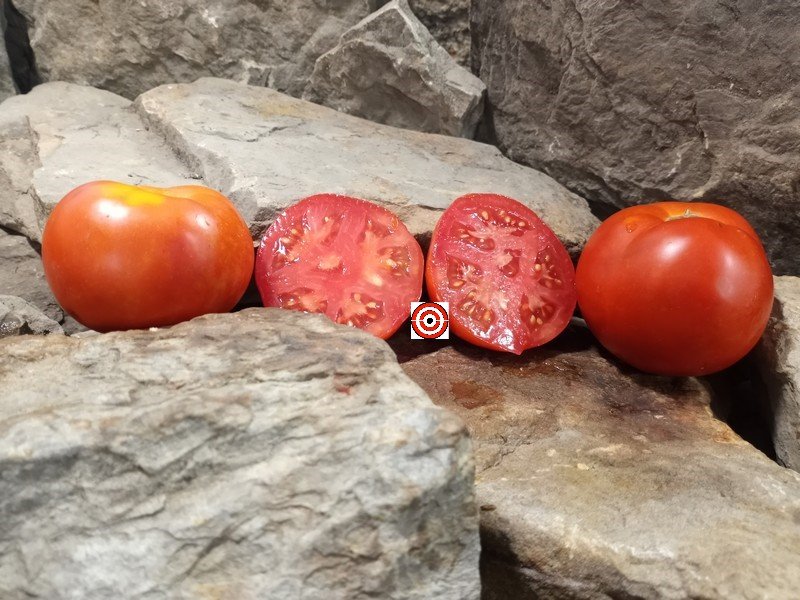 The Best Snacking Tomato Just Plain Good Tomato Seeds Available Here.