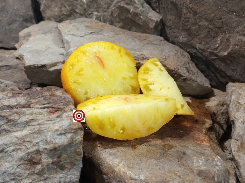 The Best Yellow Tomato Gunlocks Better Tomato Seeds Available Here.