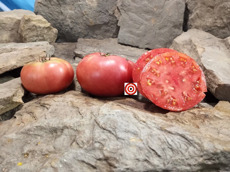 A Popular Beefsteak Tomato Livingstons Buckeye State Tomato Seeds For Sale Here.