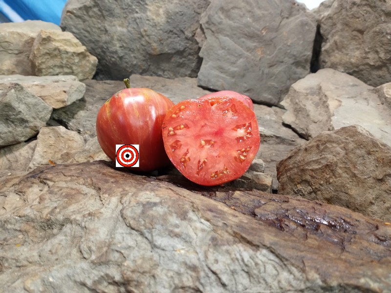 A Popular Blane Horton Tomato Long Tall Sally Tomato Seeds For Sale Here.