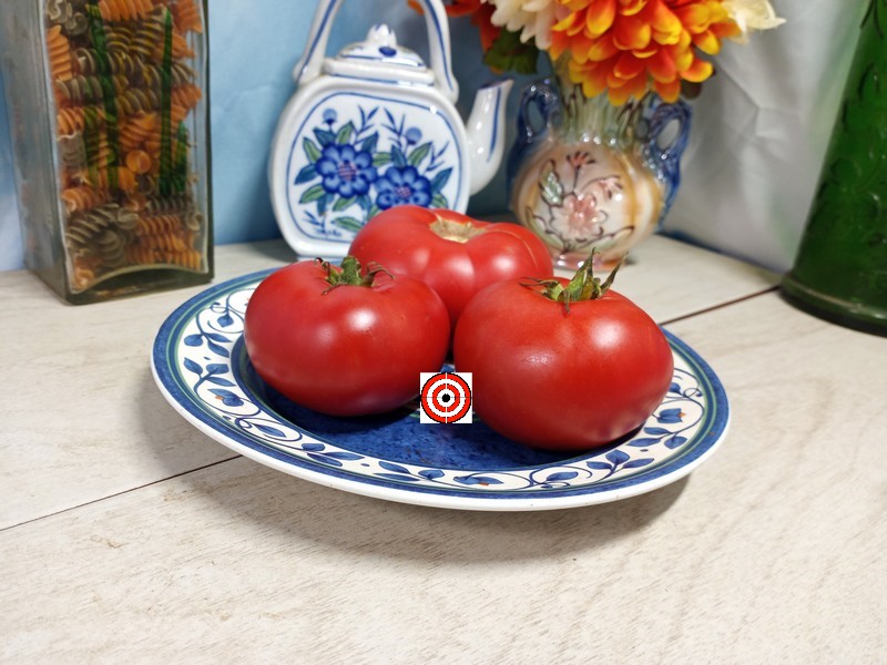 A Popular Container Tomato Livingstons Dwarf Stone Tomato Seeds For Sale Here.