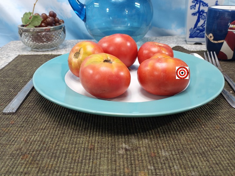 A Popular Heirloom Tomato Livingstons Rosy Morn Tomato Seeds For Sale Here.
