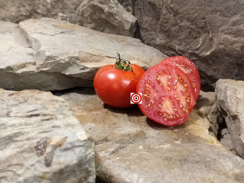 A Popular Red Tomato Livingstons State Tomato Seeds For Sale Here.