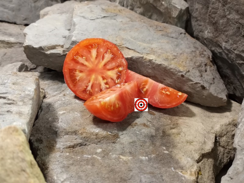 A Popular Snacking Tomato Livingstons Globe Tomato Seeds For Sale Here.