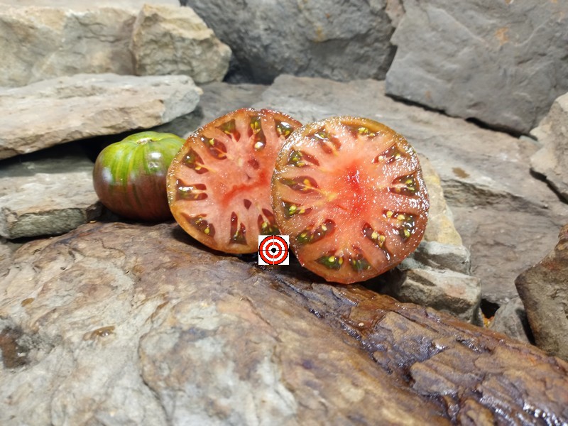 The Best Black Tomato Leprechaun Lenya Tomato Seeds Available Here.