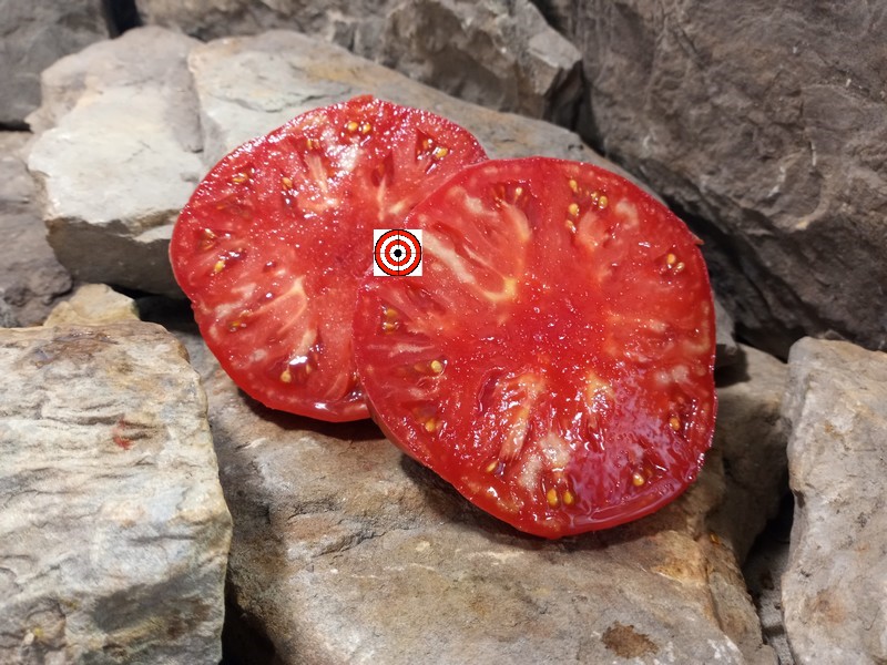 The Best Heirloom Tomato Livingstons Buckeye State Tomato Seeds Available Here.