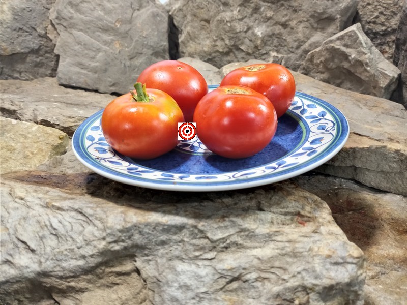 The Best Heirloom Tomato Livingstons State Tomato Seeds Available Here.