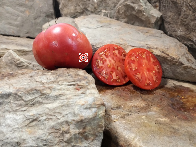 The Best Red Tomato Livingstons Beauty Tomato Seeds Available Here.