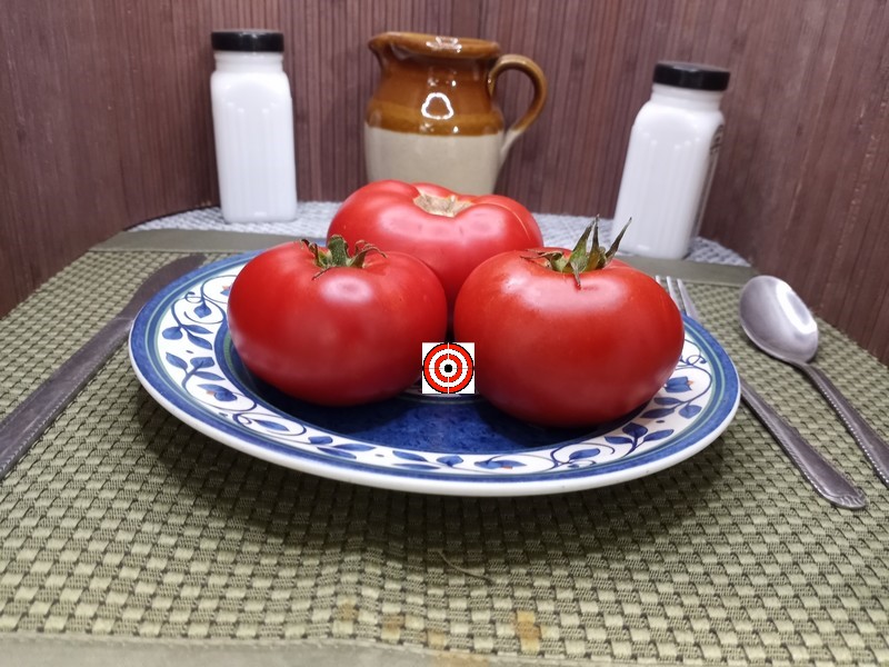 The Best Red Tomato Livingstons Dwarf Stone Tomato Seeds Available Here.