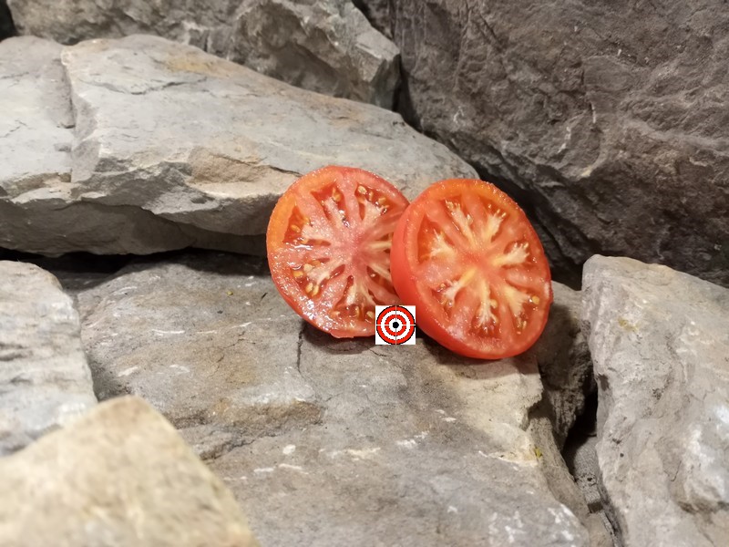 The Best Red Tomato Livingstons Globe Tomato Seeds Available Here.