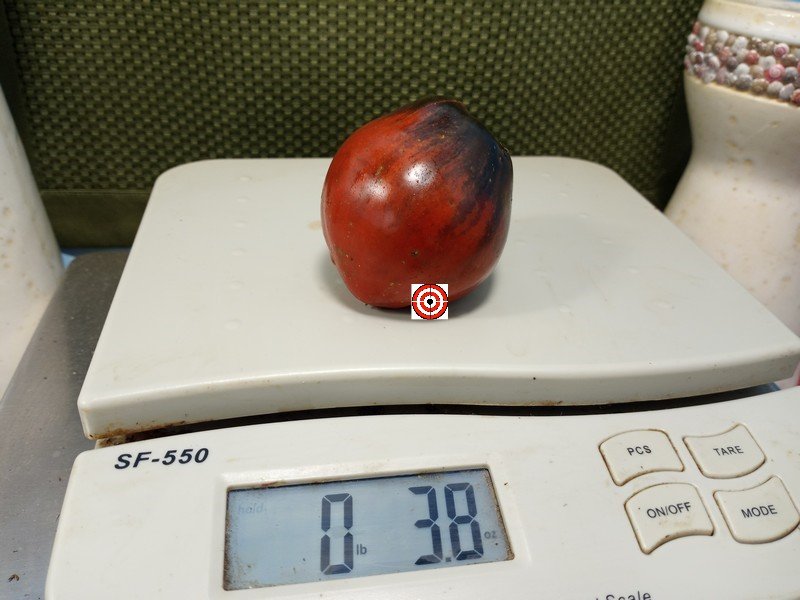 The Best Sandwich Tomato Leprechaun Sasha Tomato Seeds Available Here.