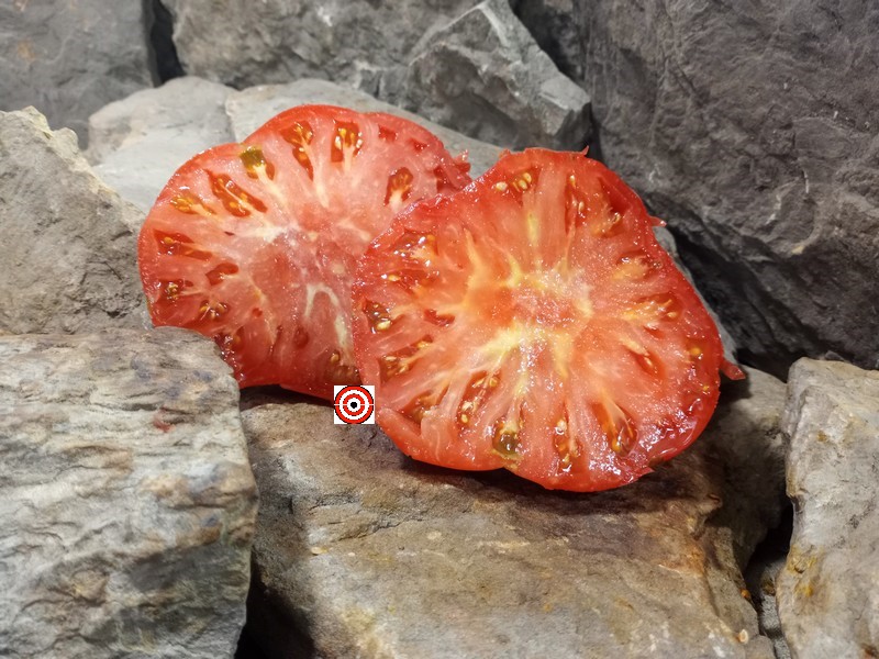 The Best Sandwich Tomato Lloyd Brown Tomato Seeds Available Here.