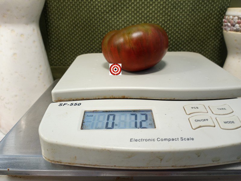 The Best Slicing Tomato Lady Brown Tomato Seeds Available Here.