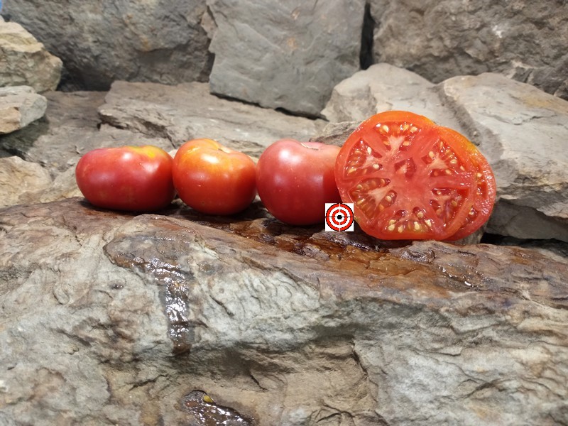 The Best Slicing Tomato Livingstons Main Crop Pink Tomato Seeds Available Here.
