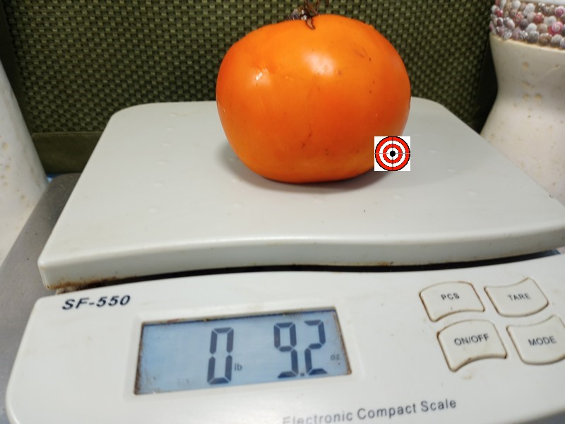 A Popular Beefsteak Tomato Matildas Yellow Wonder Tomato Seeds For Sale Here.