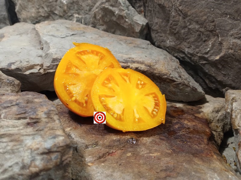 A Popular Beefsteak Tomato Moonglow Tomato Seeds For Sale Here.
