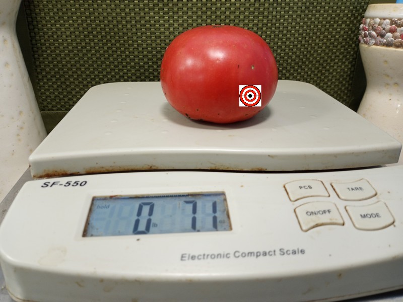 A Popular Heirloom Tomato Marianna Peace Tomato Seeds For Sale Here.