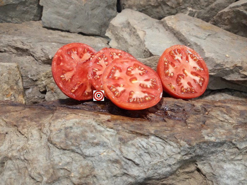 A Popular Sandwich Tomato Mcgaha Red Tomato Seeds For Sale Here.