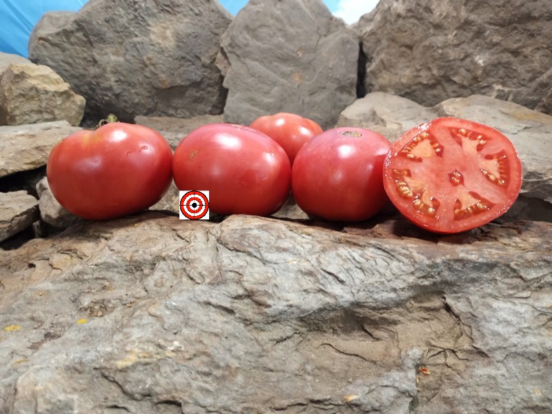 Marhios Livingstons Marvelous Tomato Seeds For Sale Here
