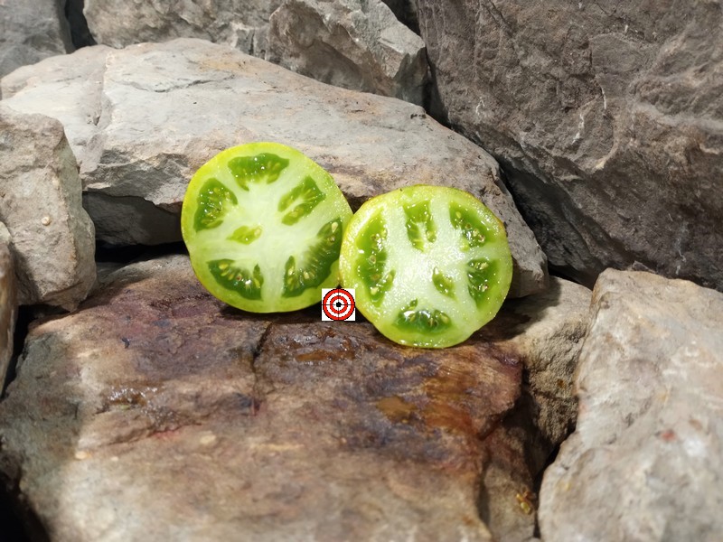 The Best Sandwich Tomato Lucinda Tomato Seeds Available Here.