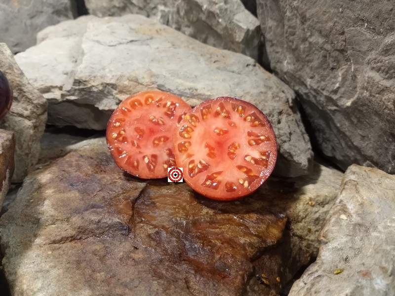The Best Sandwich Tomato Mlle Foriers Tomato Seeds Available Here.