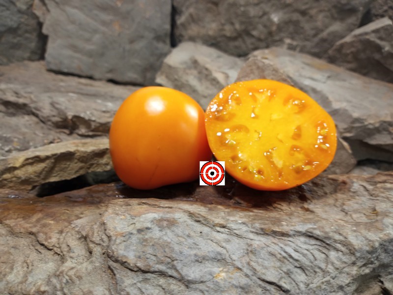 The Best Slicing Tomato Matildas Yellow Wonder Tomato Seeds Available Here.