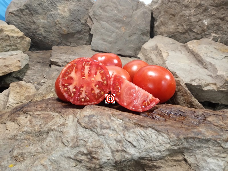 The Best Slicing Tomato Mcgaha Red Tomato Seeds Available Here.