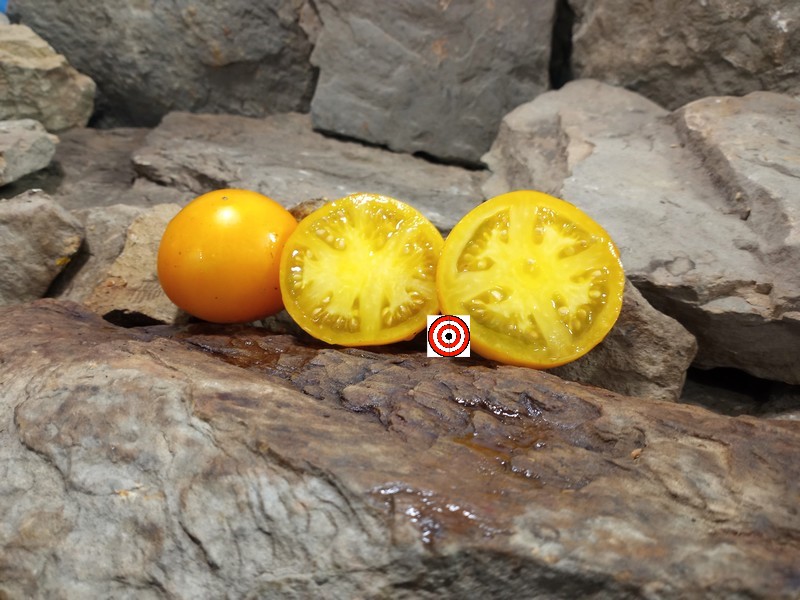 The Best Slicing Tomato Miam Nipa Tomato Seeds Available Here.